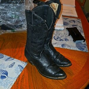 Western style cowgirl boots with silver tips